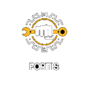Fortis Systems